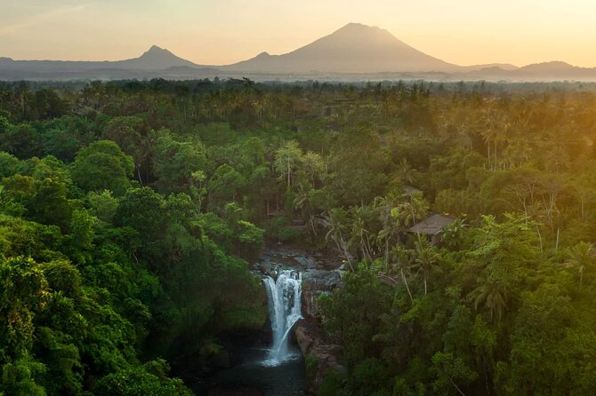 Bali Private Tour - Best of Ubud - All Inclusive - Tirta Empul Temple and Tegenungan Waterfall: A Sacred Stop Then a Breather