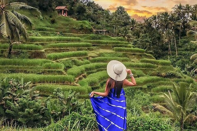 Bali Private Tour - Best of Ubud - All Inclusive - Lunch, Footwear, and Timing: Make This Day Feel Easy