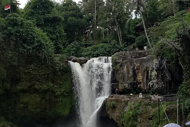 Bali Private Tour Guide And Driver - Communication, language, and pace: how the day stays smooth