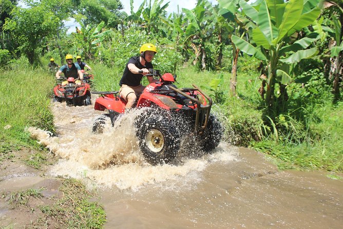 Bali Private Tour Guide And Driver - Practical tips so your 8-10 hour day stays enjoyable