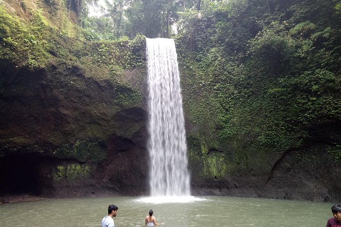 Bali Private Tour Guide And Driver - Price and value: what you’re really paying for at $32