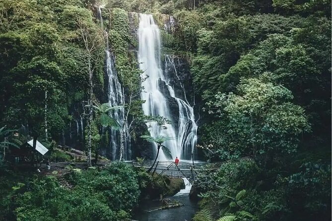 Bali Private Tour: Handara Iconic Gate, Watefall and Temple - Timing, crowd energy, and what to expect at each stop