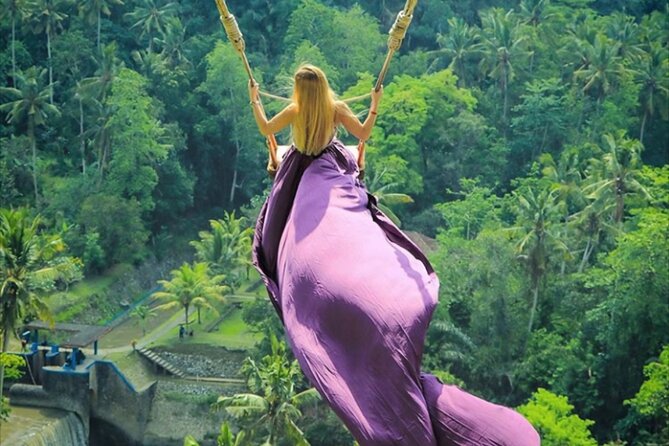 Bali Private Tour: Lempuyang Gate of heaven-Tirta gangga-Tukad Cepung - Price and value: what you really get for $70 per person