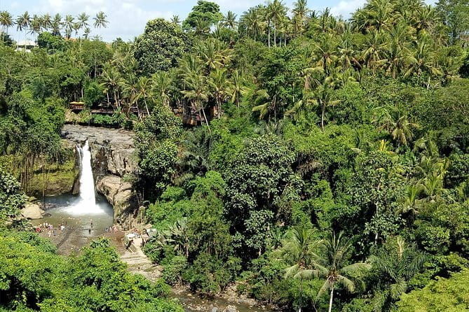 Bali Private Tour: Waterfall, Monkey forest and Tanah lot sunset - A Private Bali Day With Waterfall, Monkeys, and Tanah Lot Sunset