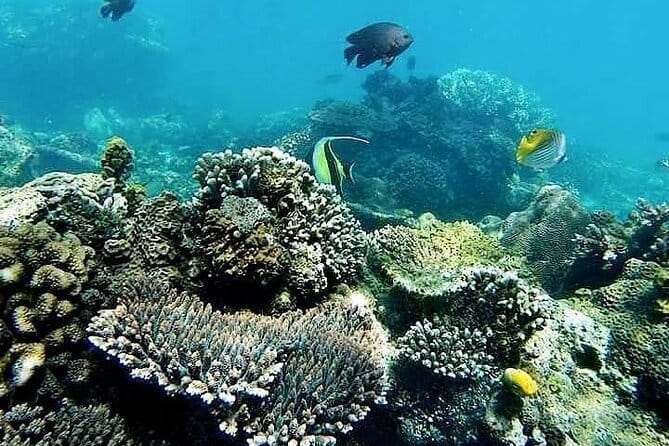 Bali Private Tour: Waterfall, Monkey forest and Tanah lot sunset - The Driver-Guide Difference You Actually Feel