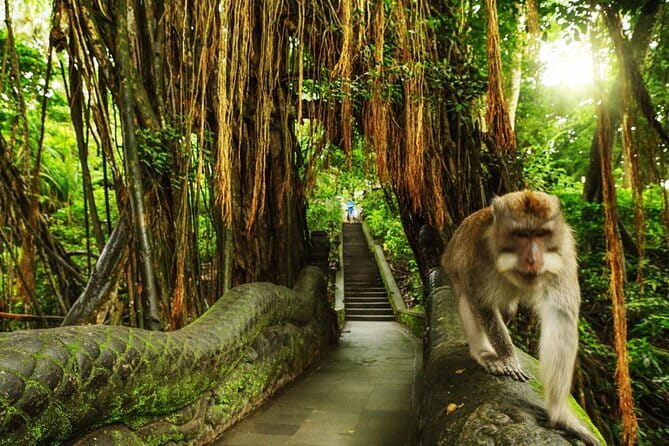Bali Private Tour: Waterfall, Monkey forest and Tanah lot sunset - Price and Logistics: What You Get for $56