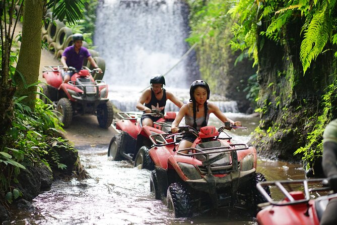 Bali Quad Bike Through Gorilla Cave - Monkey Forest and Waterfall - Price and What You Actually Get for $67