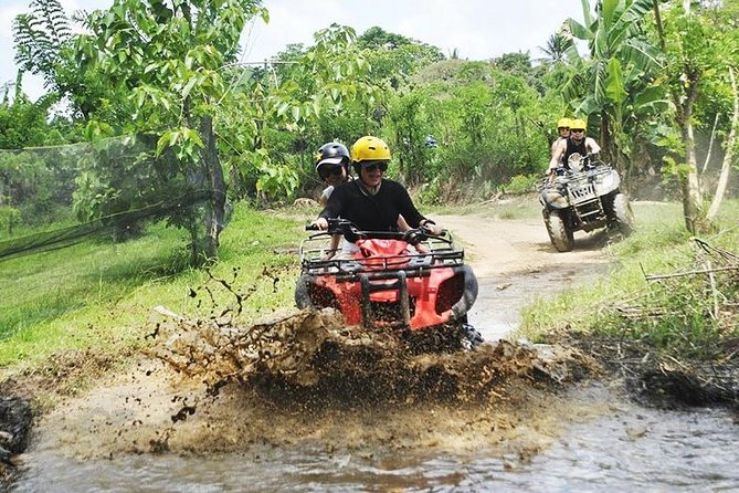 Bali Quad Bike Through Gorilla Cave - Monkey Forest and Waterfall - Lunch, Showers, and the Abiansila Pool Bar Reset