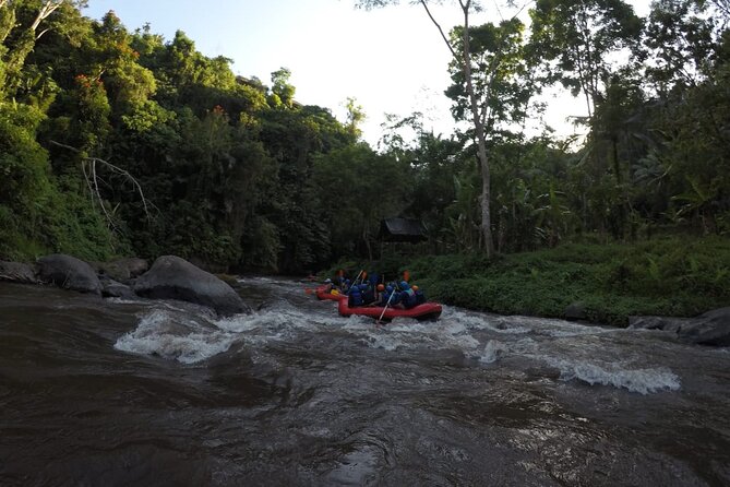 Bali Rafting - Swim Stops and Scenic Views: The Extra Payoff Beyond the Rapids