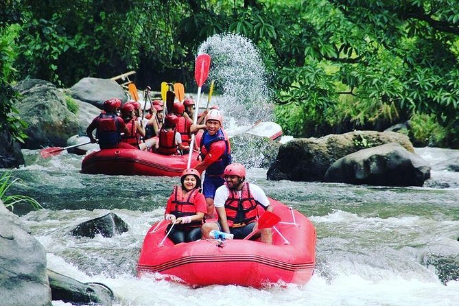 Bali Rafting Including Lunch and Transport - Ayung River Rafting From Nusa Dua: What the Day Actually Looks Like