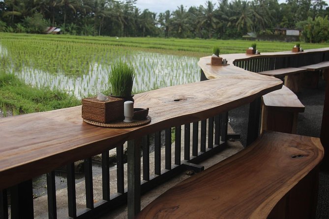 Bali Rafting Including Lunch and Transport - Price and Value at About $22: What You Get for the Money