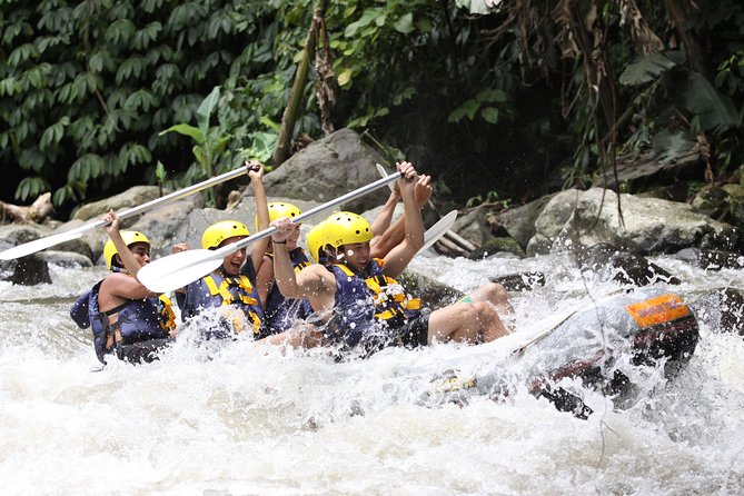 Bali Rafting Ubud with Lunch - Why Ayung River Rafting in Ubud Fits Many Trip Styles