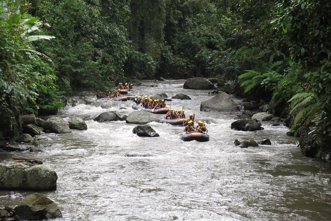 Bali Rafting Ubud with Lunch - Before You Paddle: Safety Gear, Briefing, and That Long Walk Down