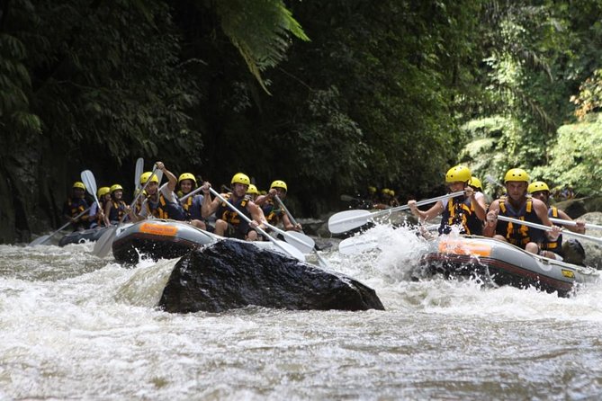 Bali Rafting Ubud with Lunch - Price and Value: The Real Math Behind $24.95