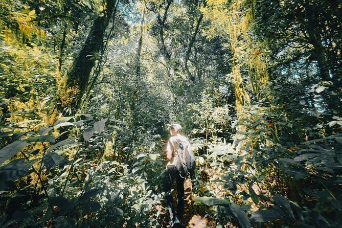 Bali Rainforest Hiking With Canoeing And Waterfall Adventure - Key Highlights You’ll Feel Right Away