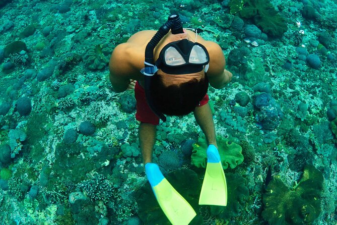 Bali Reef Cruise and Lembongan Island Day Trip - Price and value around $164 per person