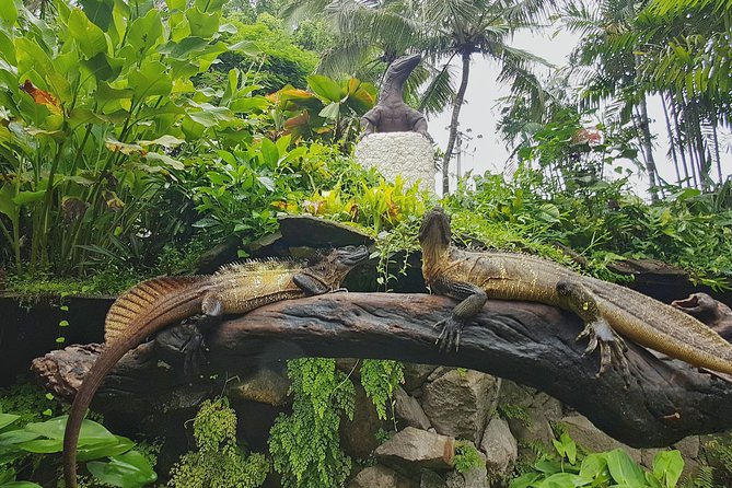 Bali Reptile Park Entrance Ticket - Guide time makes the difference, from Widya to Rama