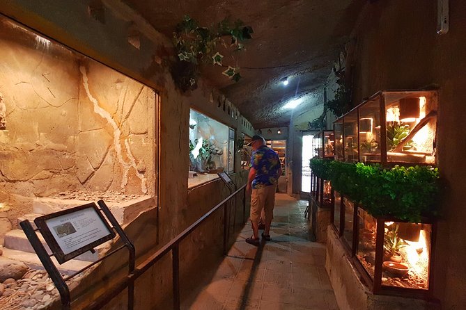 Bali Reptile Park Entrance Ticket - Time your visit in Ubud, and plan for short, fun walking