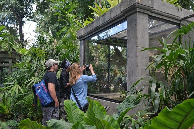 Bali Reptile Park Entrance Ticket - A balanced look at animal care concerns