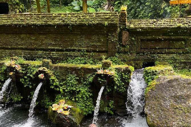 Bali Samanic Healing Purification Natural - What You’ll Actually Do During the Ritual Steps