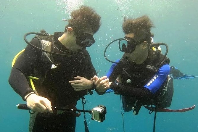 Bali Scuba Diving at Nusa Penida Manta Point For Certified Diver - The Day Plan: Three Underwater Sessions at Manta Point, Crystal Bay, and More