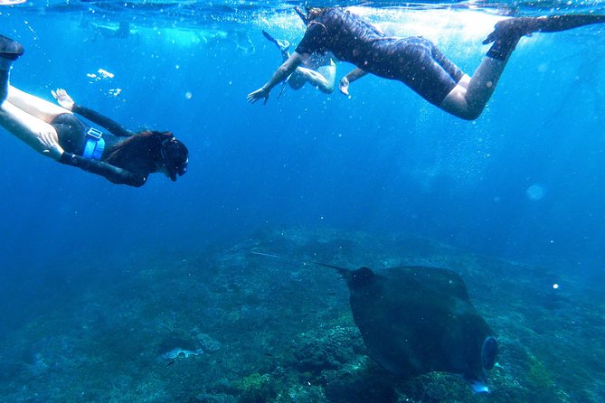 Bali Scuba Diving at Nusa Penida Manta Point For Certified Diver - Boat Ride Reality: Sea Sickness and Comfort Tips That Actually Help