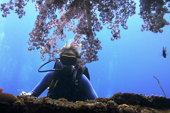Bali Scuba Diving trip at Tulamben for Certified Diver - East Bali’s USS Liberty wreck, and why it’s such a good first real target