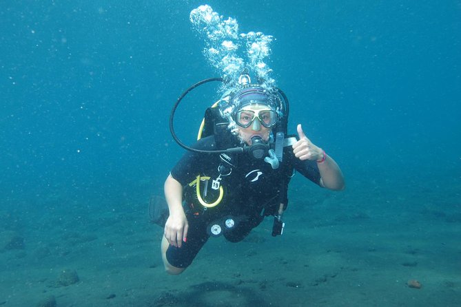Bali Scuba Diving trip at Tulamben for Certified Diver - Return to Bali: same bus, fresh head, and when to call it a day