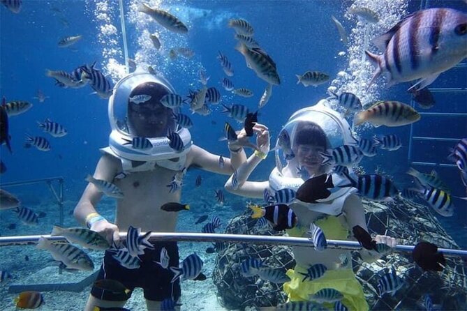 Bali Sea Walker Under Water Experience With Hotel Transfer - Getting There in Nusa Dua: Pickup, Free Transfer, and the Meeting Point