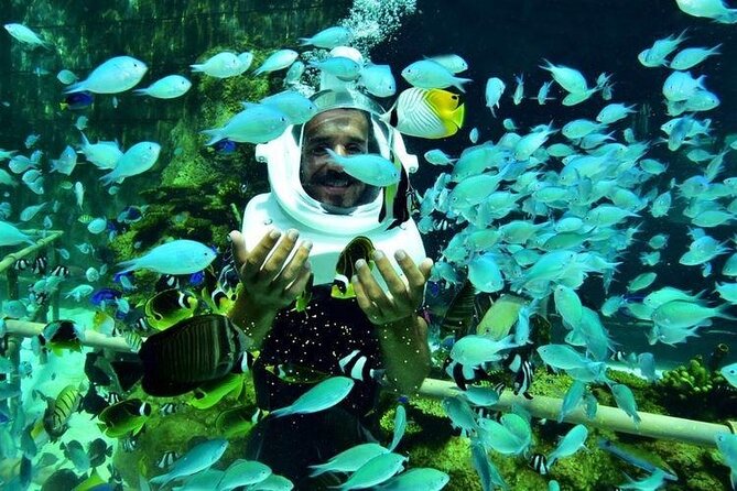 Bali Sea Walker Under Water Experience With Hotel Transfer - The 30-Minute Flow: What Happens Once You Arrive