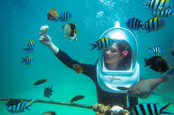 Bali Sea Walker Under Water Experience With Hotel Transfer - Price and Value: Is $32.50 Worth It?