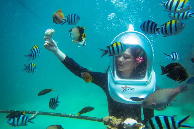 Bali Sea Walker Under Water Experience With Hotel Transfer - Who This Fits Best in Bali (and Who Might Be Happier Elsewhere)