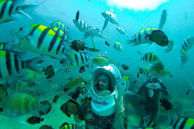 Bali Sea Walker Under Water Experience With Hotel Transfer - Should You Book Sea Walker Bali Sea Walker? My Decision Checklist
