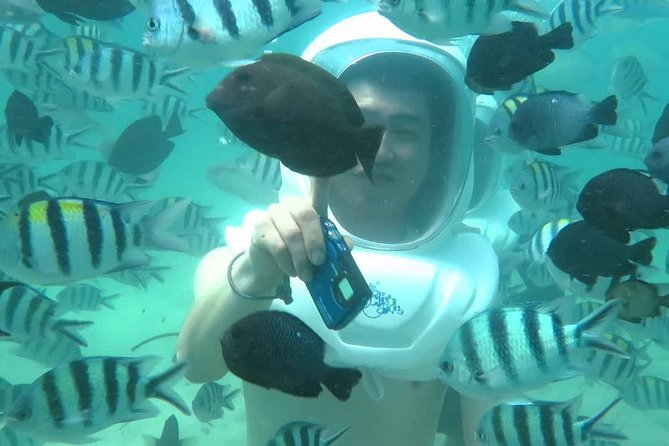 Bali Sea Walking Experience - Underwater reality check: reef design, fish, and murky water chances