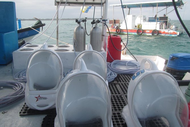 Bali Sea Walking Experience - Uluwatu and Jimbaran add-on, plus Ubud highlights if you go full day
