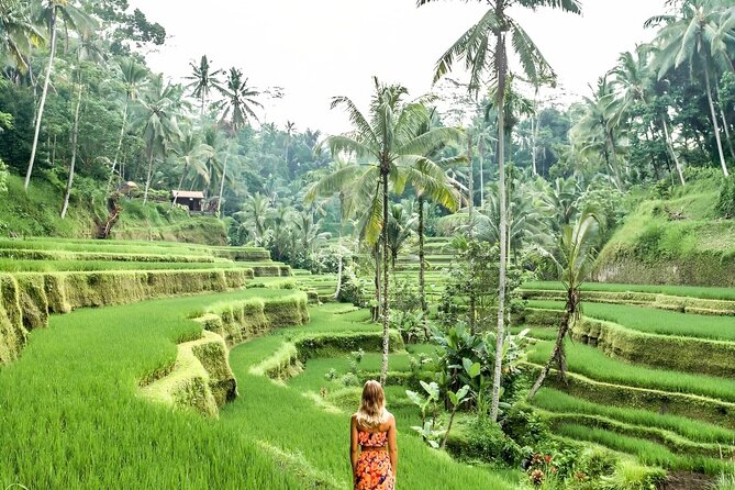 Bali Shore Excursions : Best of Bali Tour - How the rest of the day stays focused on Ubud highlights