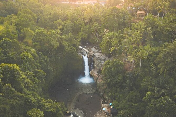 Bali Shore Excursions : Best of Bali Tour - The Ubud plan: driver narration plus time at Tegenungan Waterfall