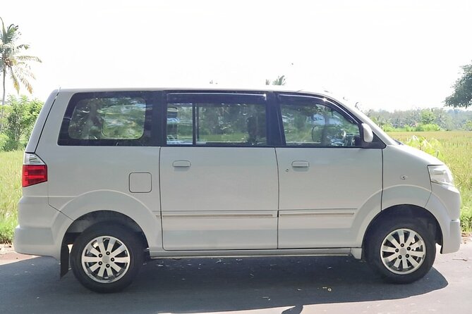 Bali Shore Excursions : Private Bali Car Rental Service - Mas Carving Center: A Quick Craft Stop With Real Hands-On Skill