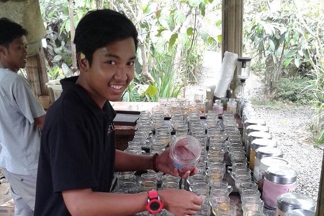 Bali Sightseeing - Tegalalang Rice Terrace: farming views with a working feel
