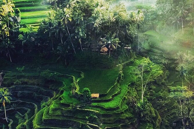 Bali Sightseeing - Tirta Empul Temple purification: respectful, practical, memorable
