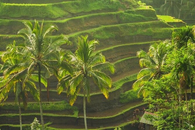 Bali Sightseeing - Who should book this Bali sightseeing day trip