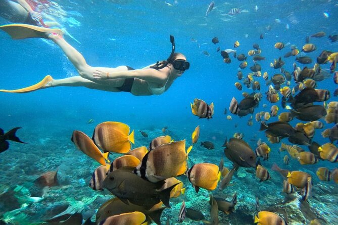Bali Snorkeling 2 Spot at Blue Lagoon with Lunch & Transport - Key Things to Know Before You Go