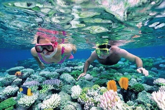 Bali Snorkeling at Blue Lagoon and Tanjung Jepun with Transfer - Key Points You’ll Care About