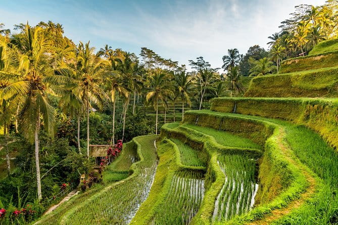 Bali Snorkeling at Blue Lagoon and Tanjung Jepun with Transfer - Lunch and the Post-Snorkel Reset