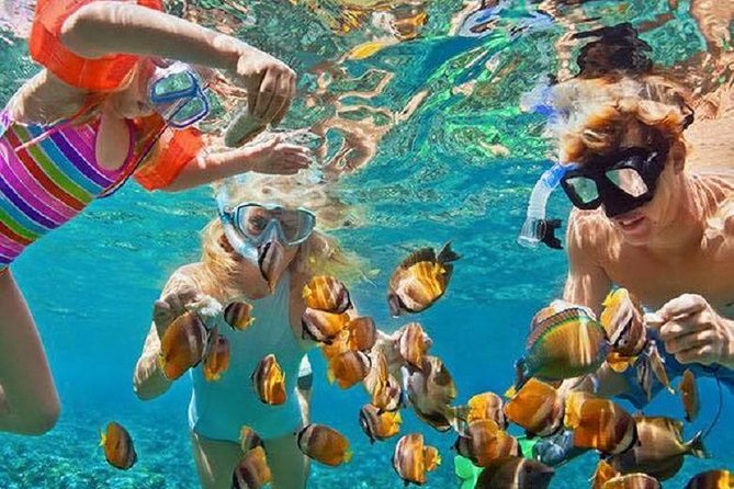 Bali Snorkeling at Blue Lagoon with Transport and Lunch - Quick Hits: What Makes This Snorkeling Day Work