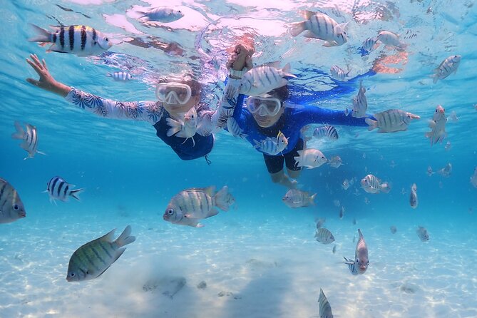 Bali Snorkeling Blue Lagoon with lunch &Optional waterfall Visit - Tanjung Jepun snorkeling: your first look at Bali’s marine life