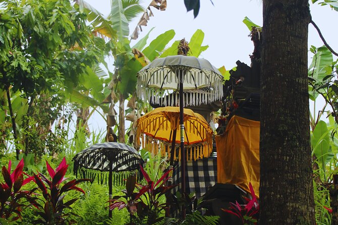 Bali Spiritual: Blessing Ceremony, Pristine Nature and Transfer - Key things you should look for