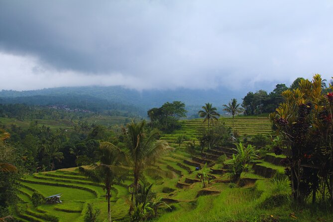 Bali Spiritual: Blessing Ceremony, Pristine Nature and Transfer - Belulang Hot Spring Optional Bath: A Good Reset for Your Body