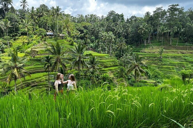Bali Sunrise Without Hiking: Temples, Rice Terraces & Waterfall - Key tour takeaways before you go