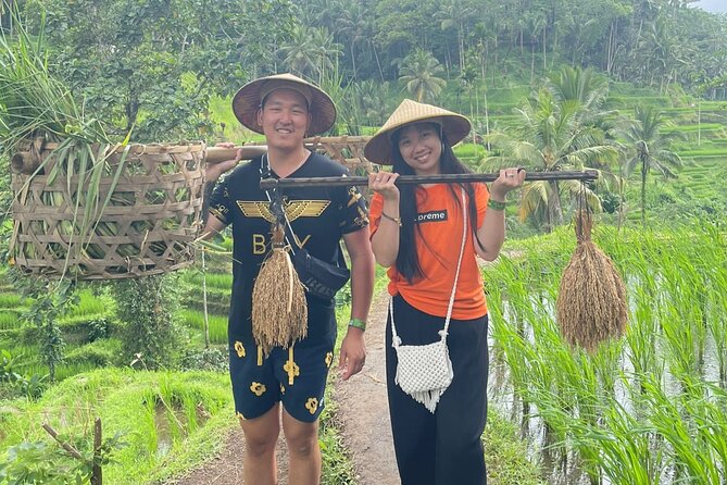 Bali Swing Hot Spring And Waterfall Private Guided Tour - Mount Batur viewpoint in Kintamani: plan for the temperature shift